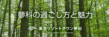 八ヶ岳山麓にある別荘地。東急リゾートタウン蓼科