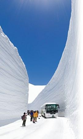 2015雪の大谷ウォーク_パンフ写真.jpg