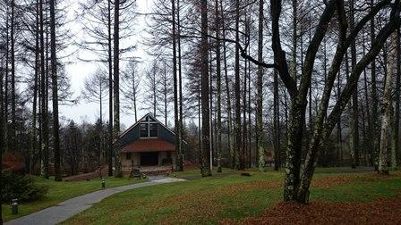 DSC_1290.jpg