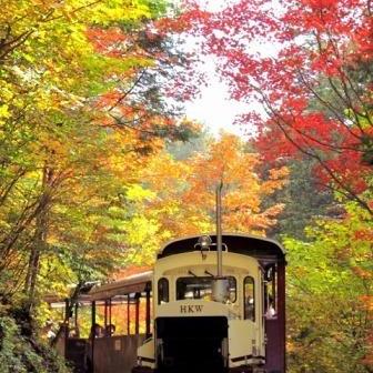 【蓼科のスタッフが厳選♪】10月の秋旅セレクション