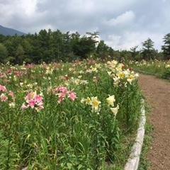 お子様もペットも楽しめる観光スポット♪