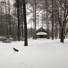 2月スタート　雪とともに