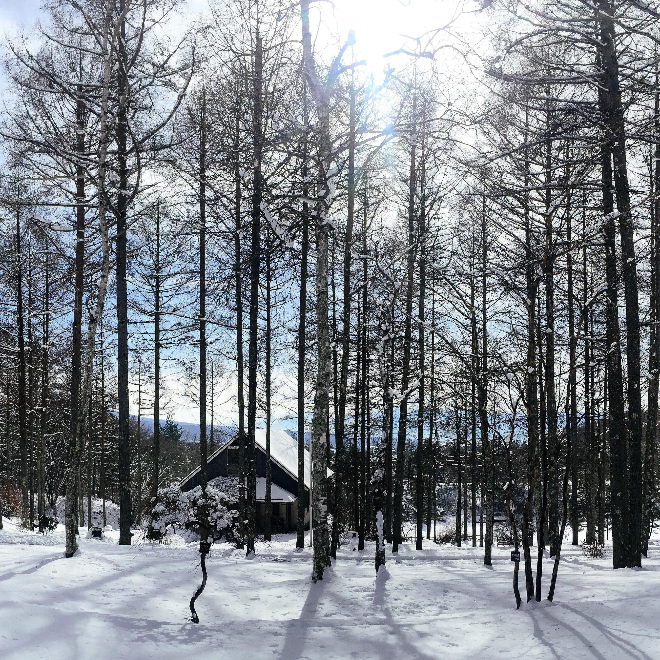 雪解けの晴れの日