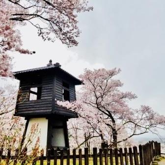 高遠城址公園