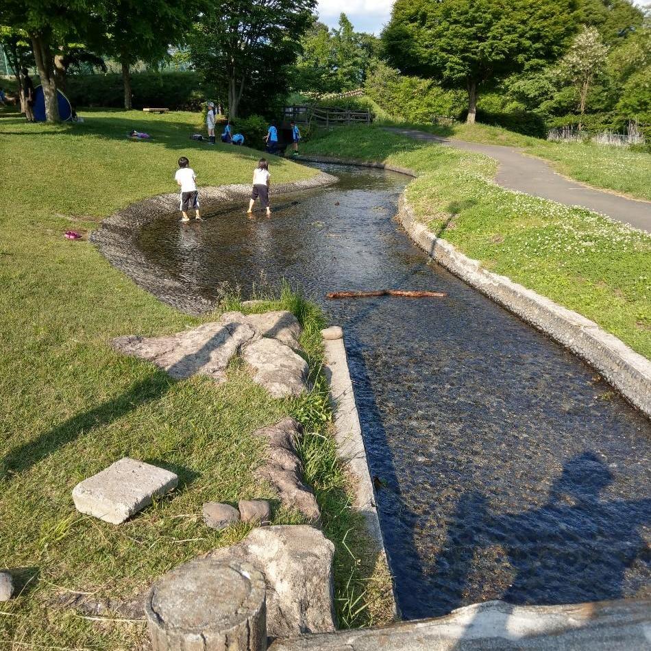 ちょこっと情報♪【弓振（ゆみふり）公園】