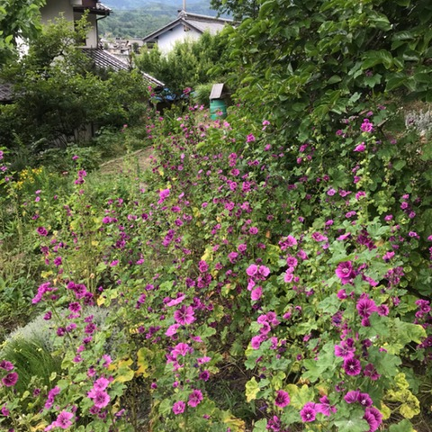 信州うらさとハーブ園