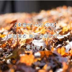 【東急ﾘｿﾞｰﾄﾀｳﾝ蓼科】蓼科発着　秋の日帰りツアー受付中♪