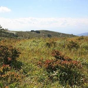 車山高原