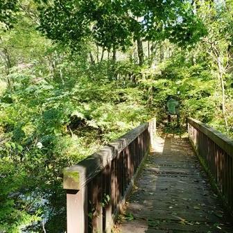 9月のお散歩２