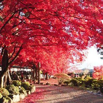 長円寺の紅葉