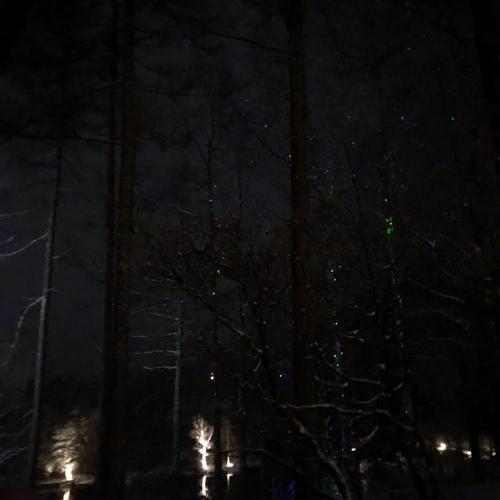 雪がちらつきだした蓼科高原で、夜のライトアップを楽しんでみては？