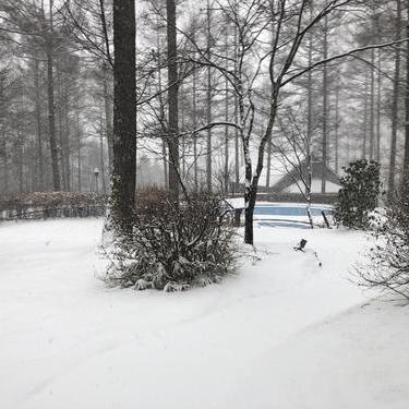 一日で雪化粧に・・・