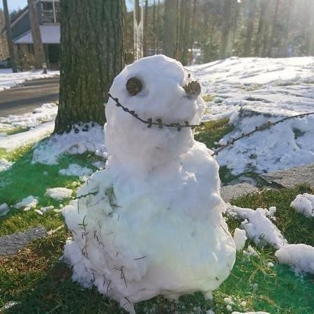 プライベートガーデンの雪だるま