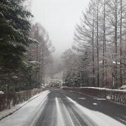 雪が降りました